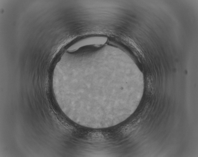 X0000087350588200705181128