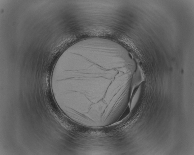 X0000087350590200705181128