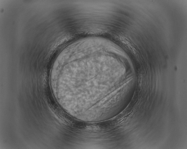 X0000087350591200705181128