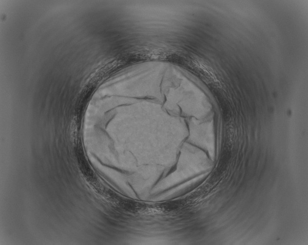 X0000087350594200705181128