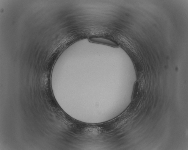 X0000087350595200705181128