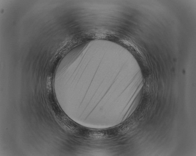 X0000087350598200705181128