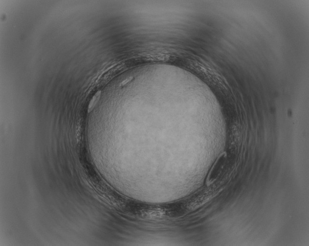 X0000087350600200705181128