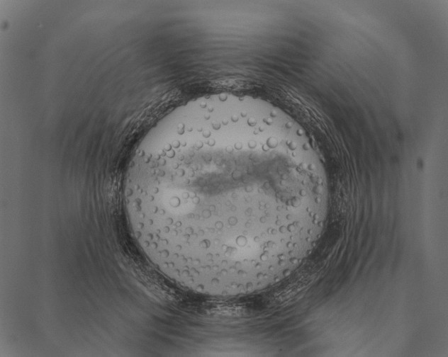 X0000087350601200705181128