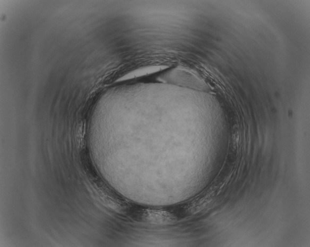 X0000087350605200705181128