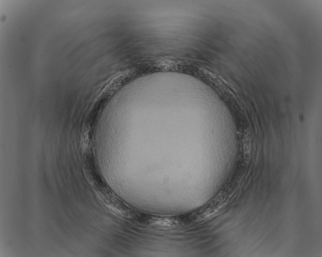 X0000087350611200705181128