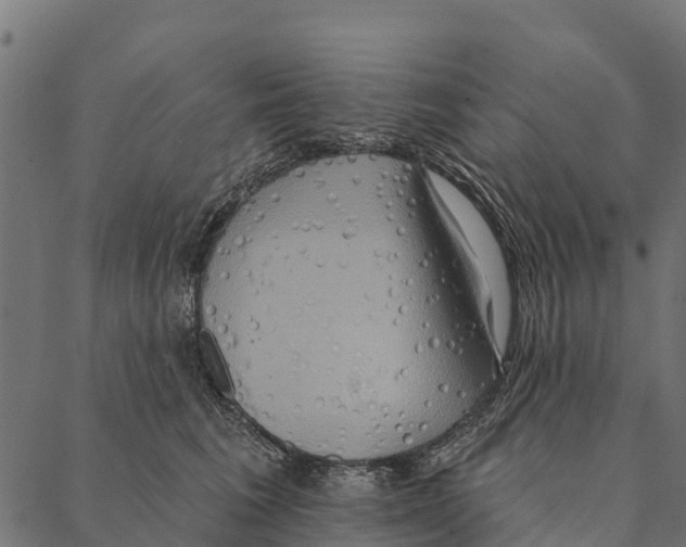 X0000087350613200705181128