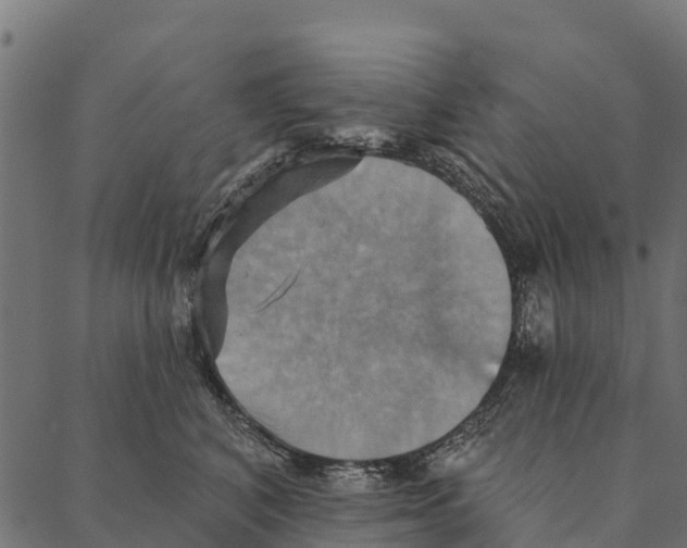 X0000087350616200705181128