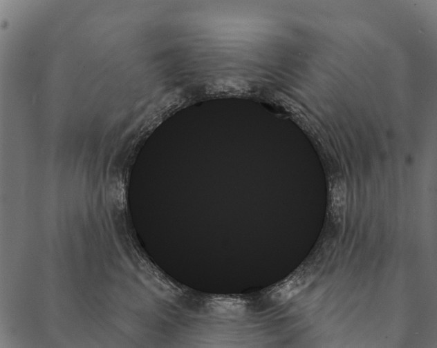 X0000087350617200705181128