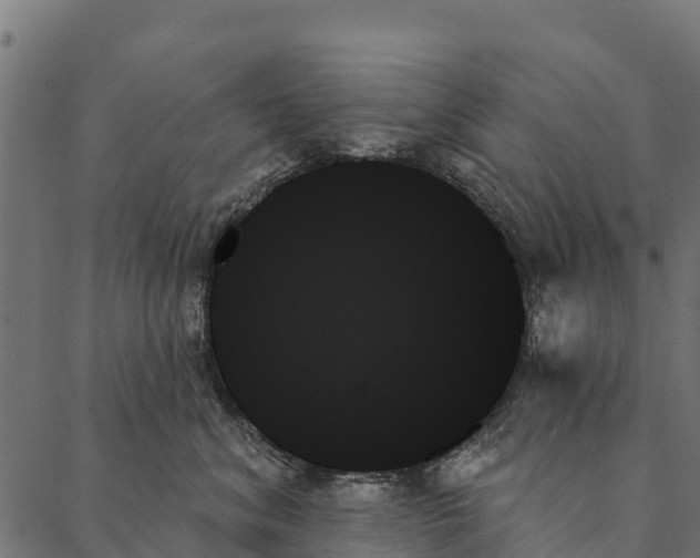 X0000087350620200705181128