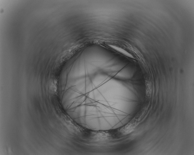 X0000087350621200705181128