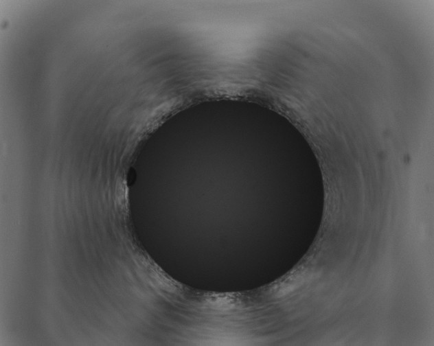 X0000087350624200705181128