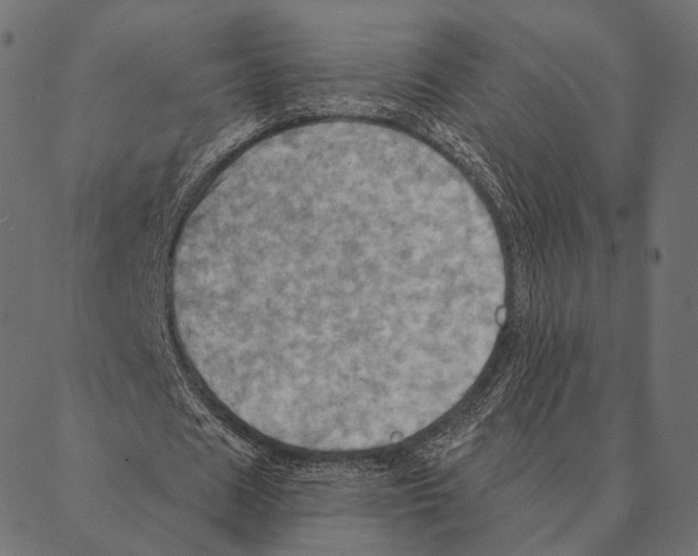 X0000087350625200705181127