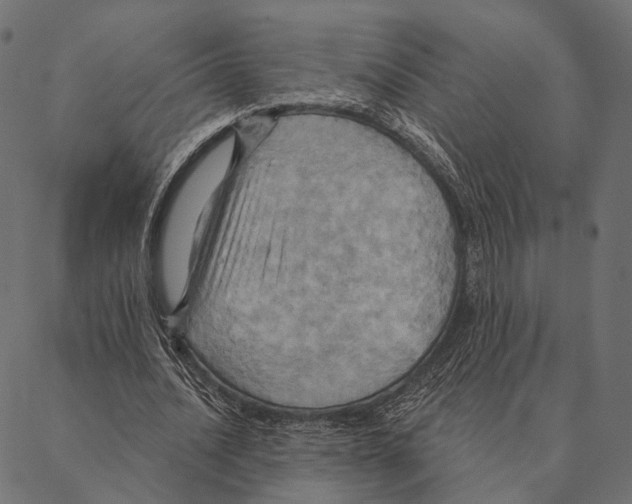 X0000087350628200705181127