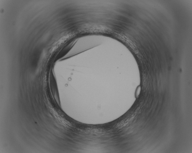 X0000087350629200705181127