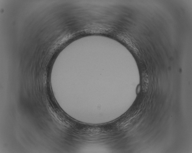 X0000087350631200705181127