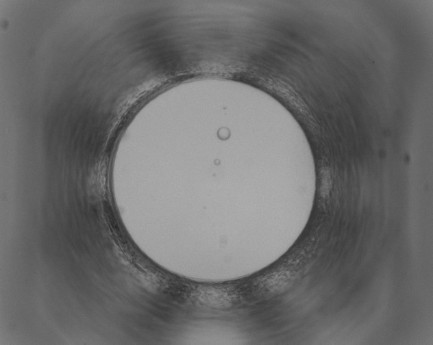 X0000087350632200705181127