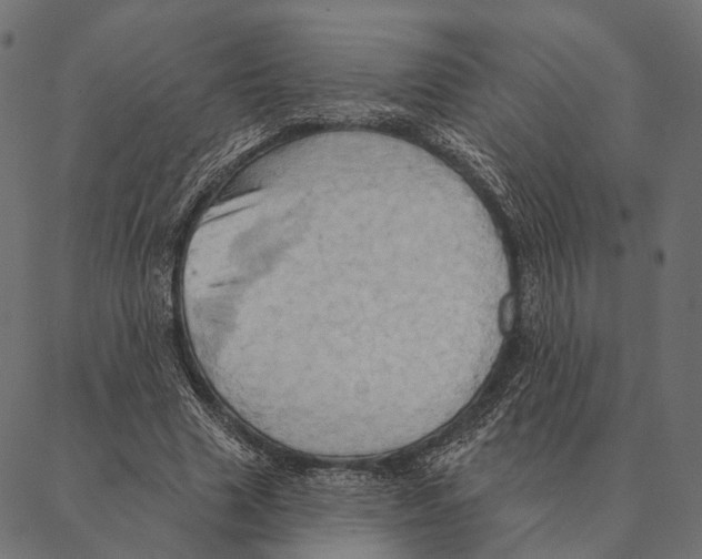 X0000087350633200705181127