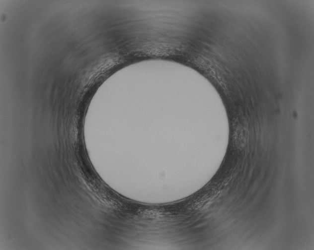 X0000087350635200705181127