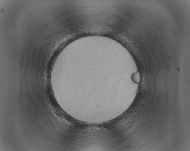 X0000087350636200705181127