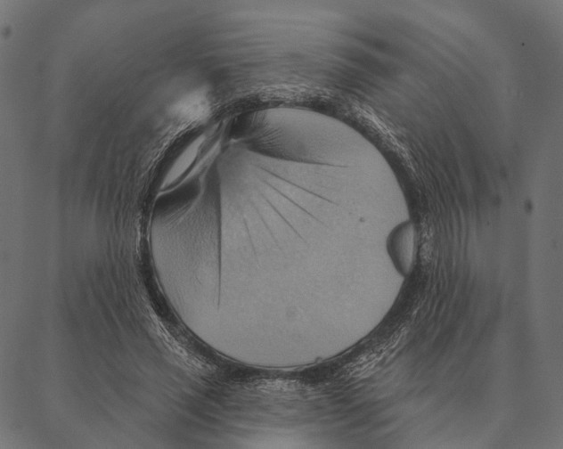 X0000087350637200705181127