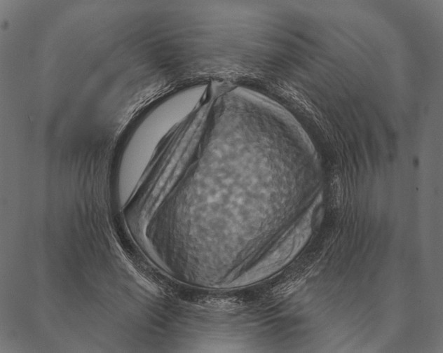 X0000087350638200705181127