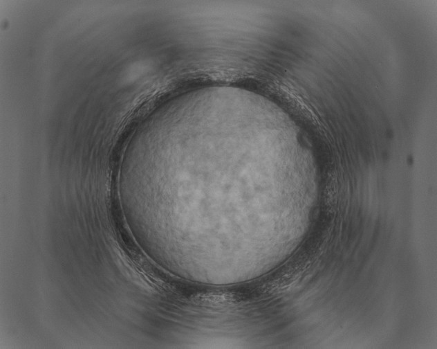 X0000087350639200705181127