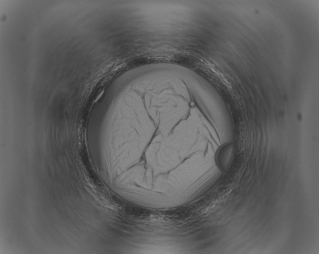 X0000087350641200705181127