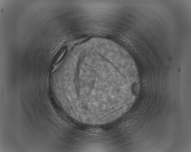 X0000087350642200705181127