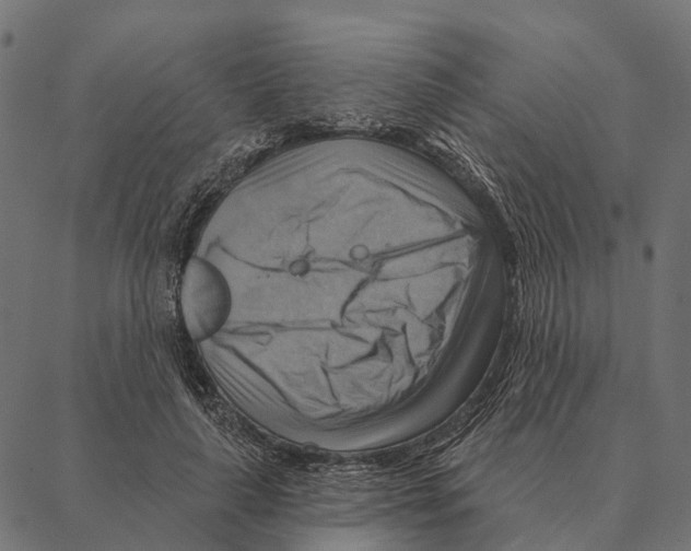 X0000087350643200705181127