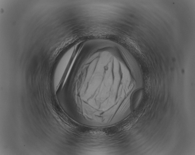 X0000087350644200705181127