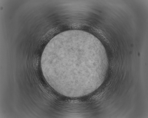 X0000087350645200705181127