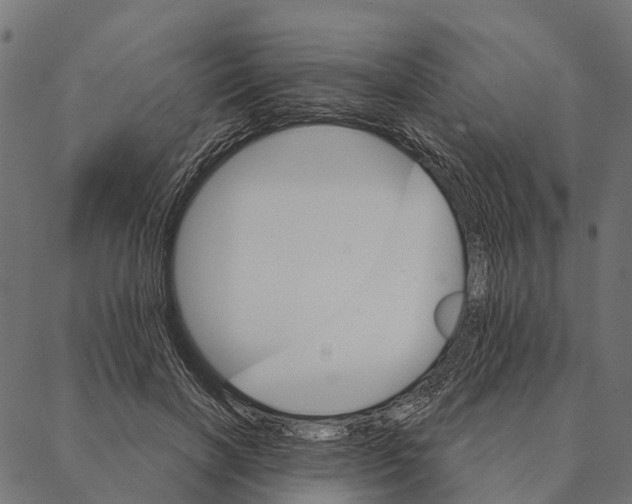 X0000087350646200705181127