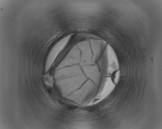 X0000087350648200705181127