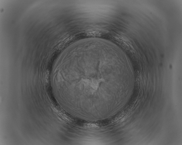 X0000087350649200705181127