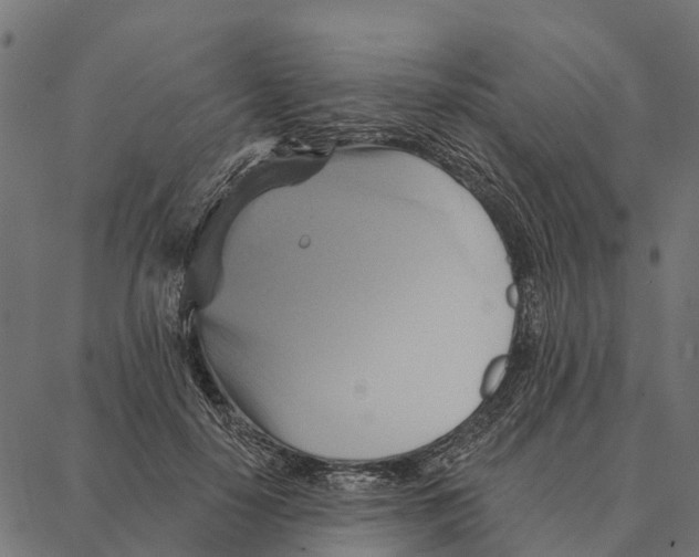 X0000087350650200705181127