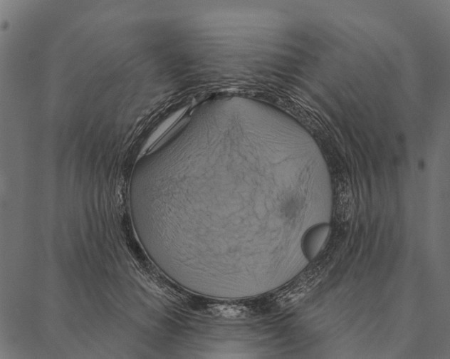 X0000087350654200705181127