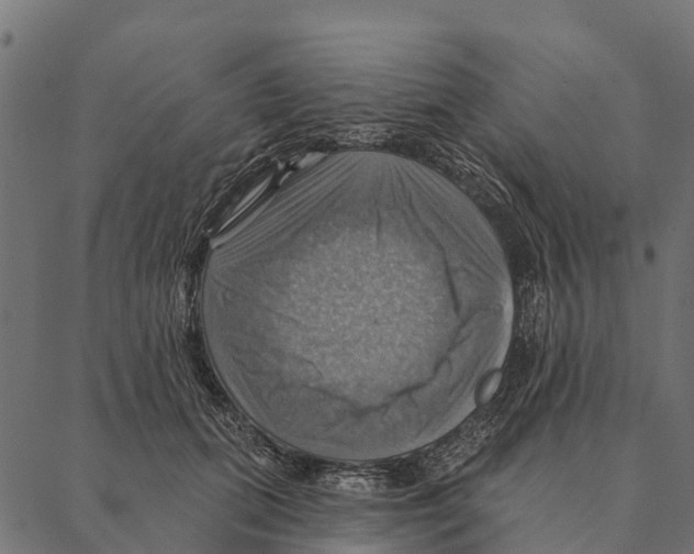 X0000087350655200705181128