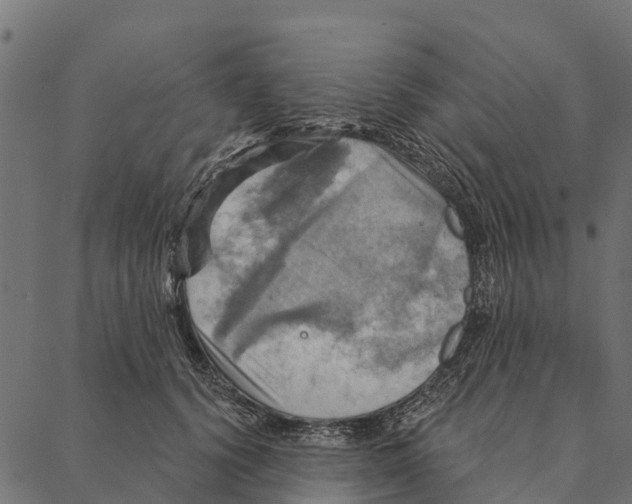 X0000087350656200705181128