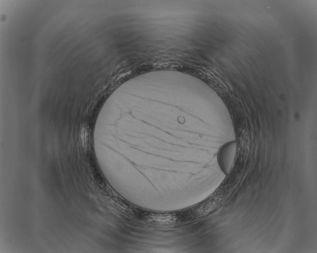 X0000087350659200705181128