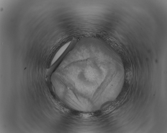 X0000087350662200705181128