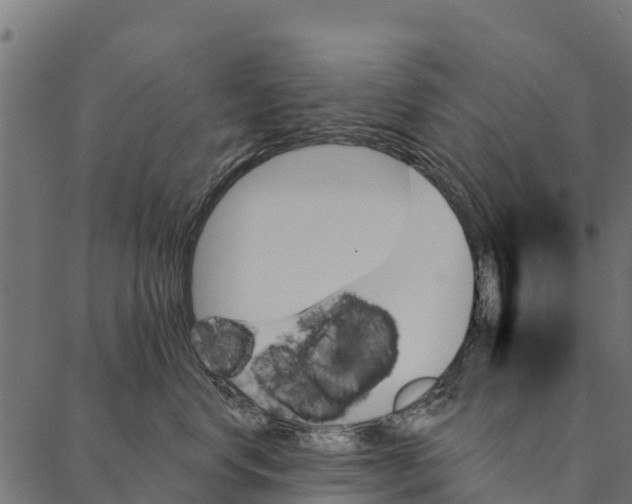 X0000087350668200705181128