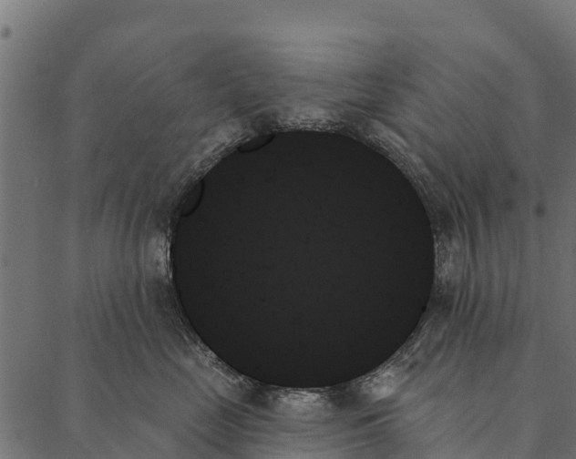 X0000087350669200705181128