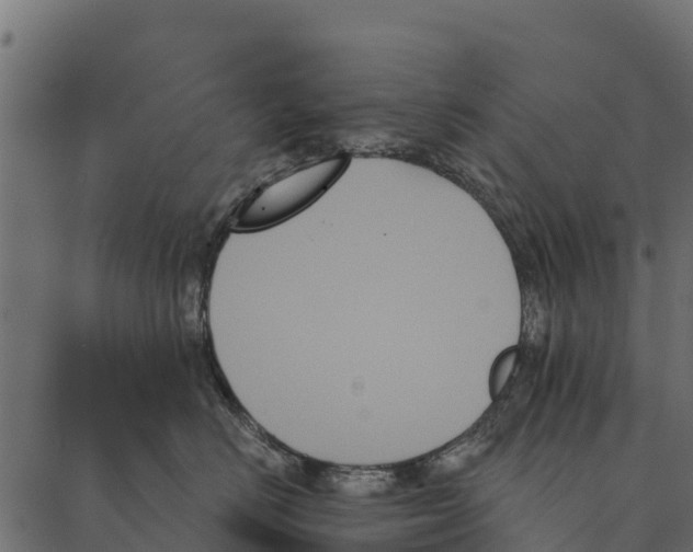 X0000087350670200705181128