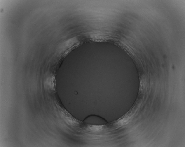 X0000087350671200705181128