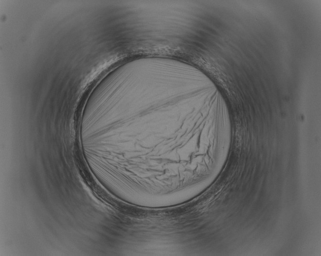 X0000087350674200705181127