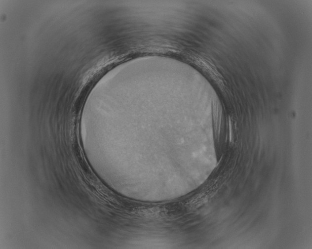 X0000087350675200705181127