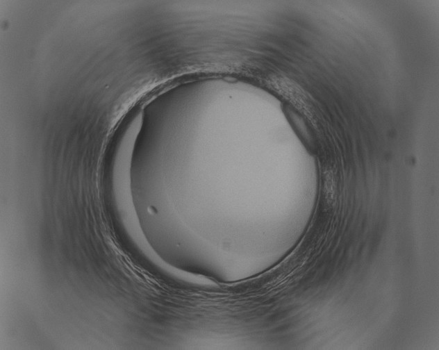 X0000087350676200705181127