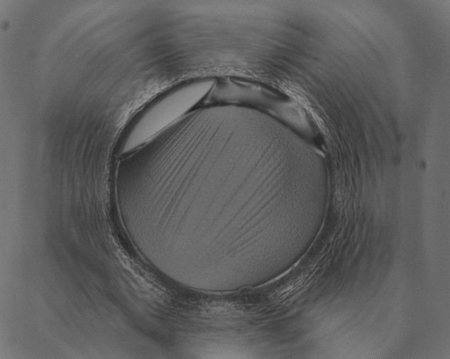 X0000087350677200705181127