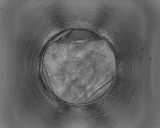 X0000087350679200705181127